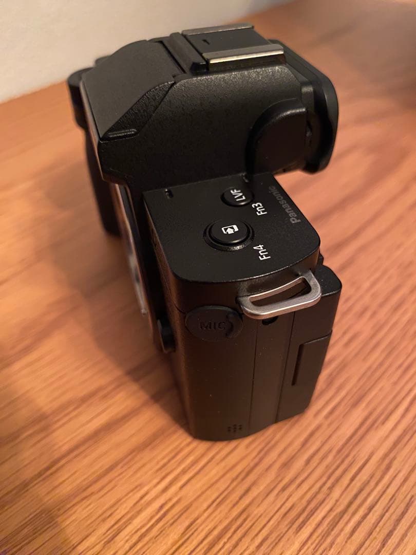 TAKEYAMA　LUMIX DC-G100V