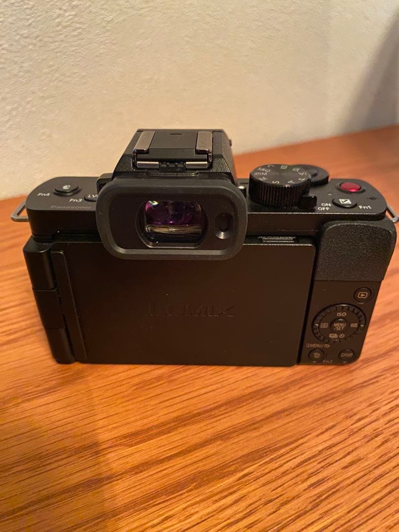 TAKEYAMA　LUMIX DC-G100V