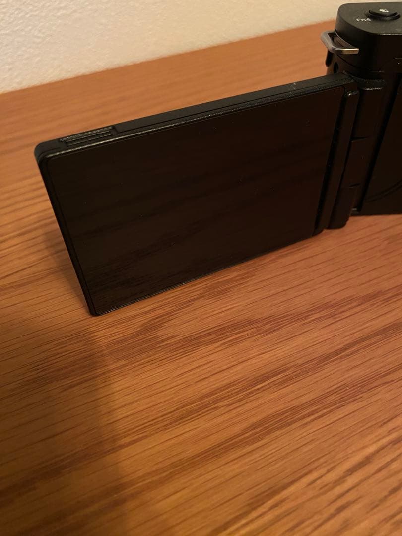 TAKEYAMA　LUMIX DC-G100V