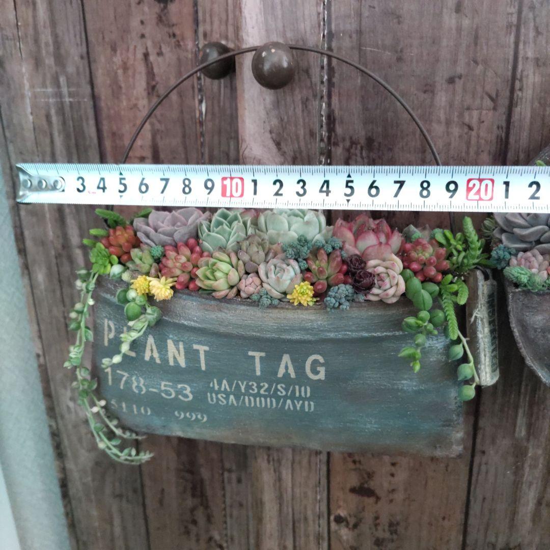 多肉植物 ♡そのまま飾れる寄せ植え♡リメ缶2点セット♬*°