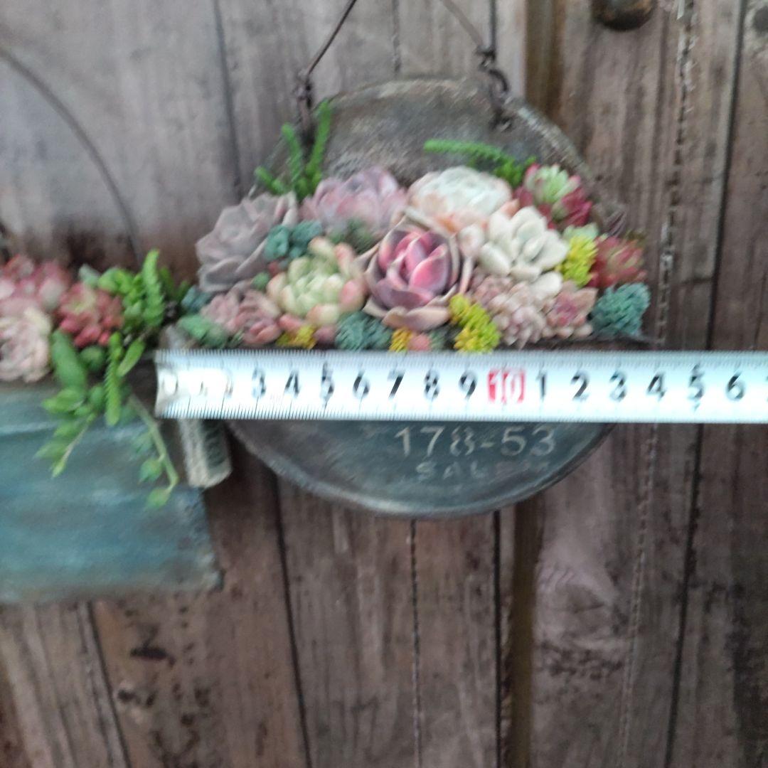 多肉植物 ♡そのまま飾れる寄せ植え♡リメ缶2点セット♬*°