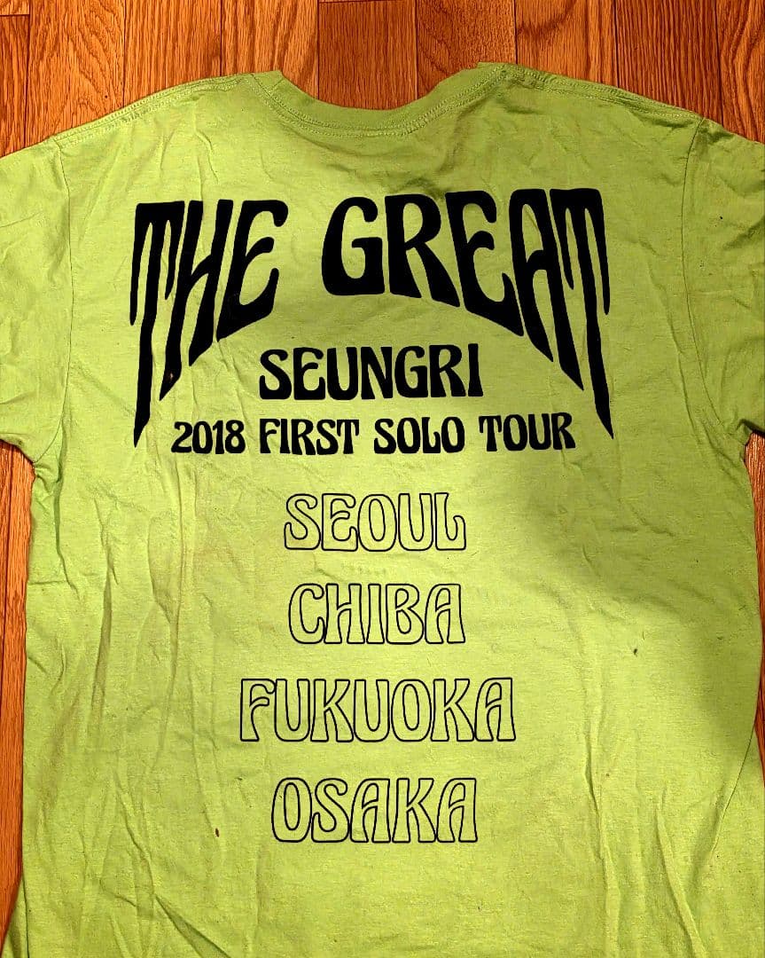 THE GREAT SEUNGRI 2018 TOUR Tシャツ スンリ V.I