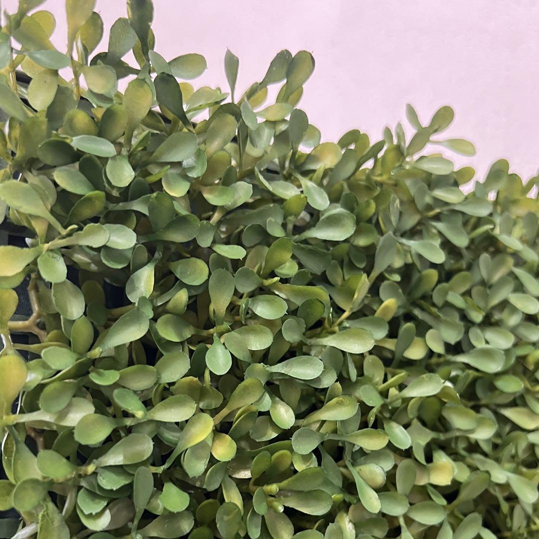 連接グリーン 300角 壁面緑化 ウォールグリーン 壁掛け フェイクグリーン