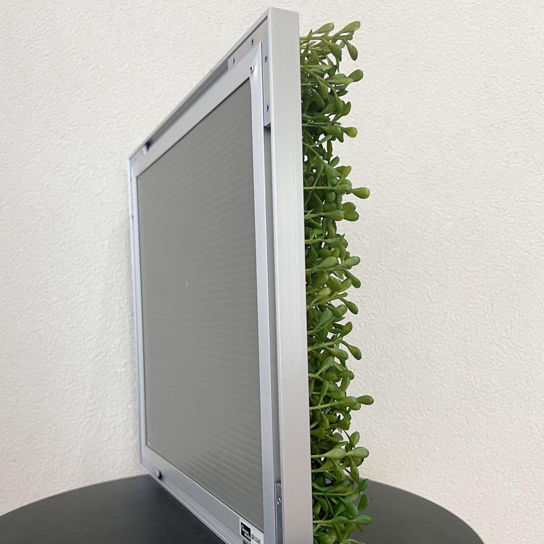 連接グリーン 300角 壁面緑化 ウォールグリーン 壁掛け フェイクグリーン
