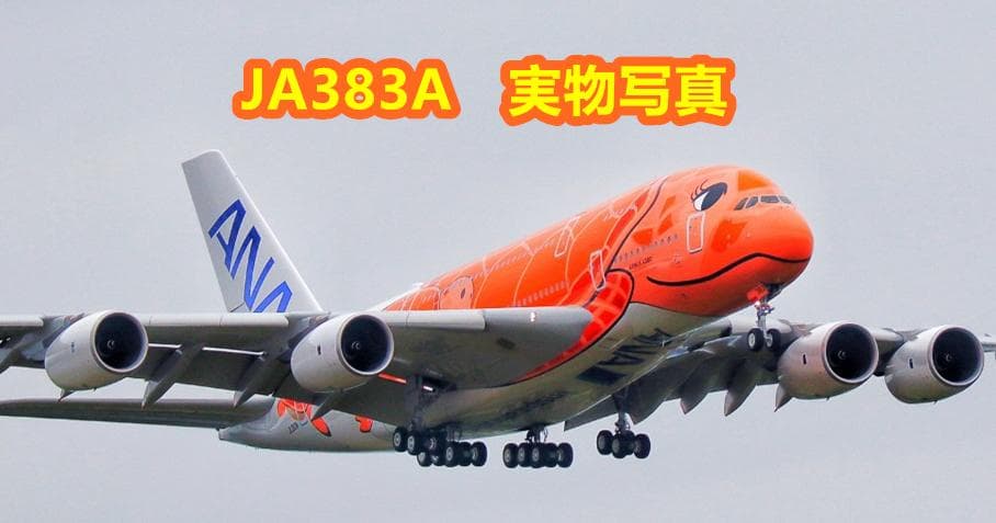 ☆JA383A★ANA全日空A380フライングホヌ３号機ダイヤキャストモデル☆