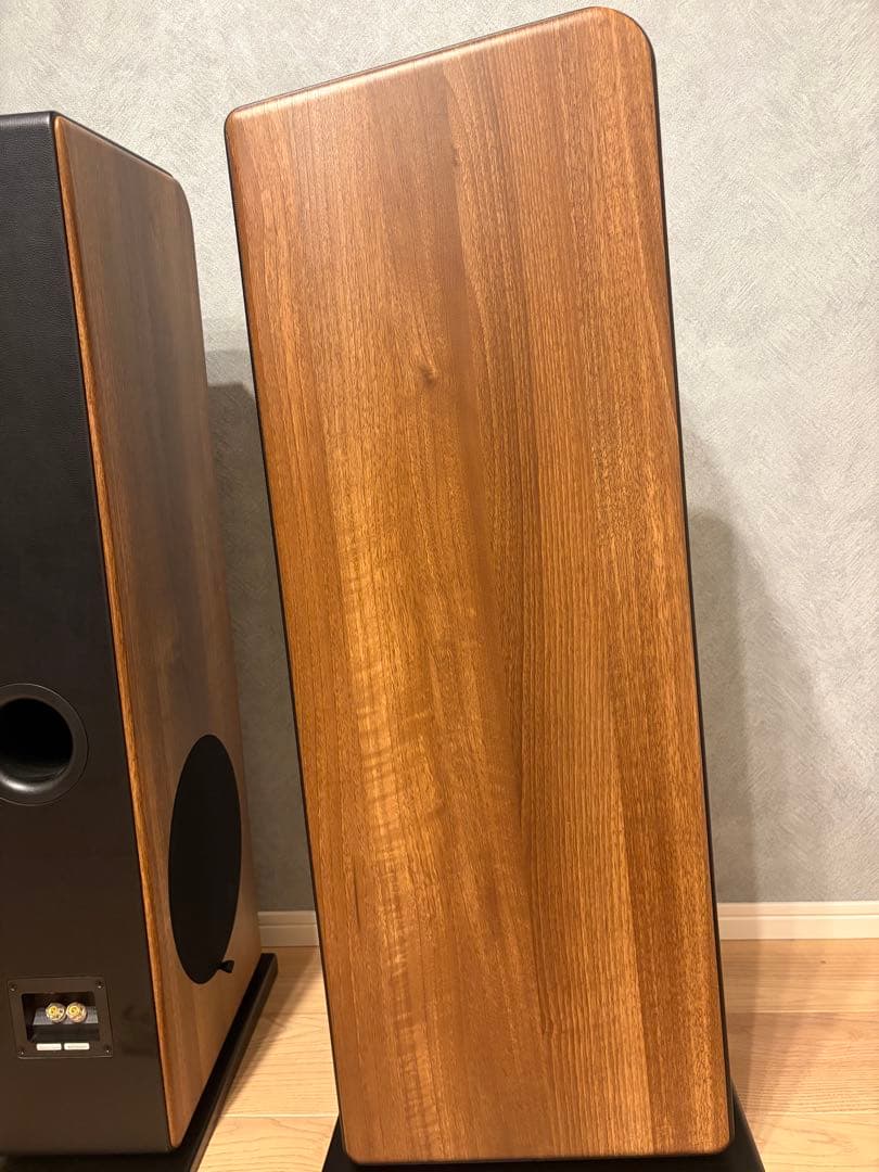 audio pro AVANTO FS-20/オーディオプロ　トールボーイ