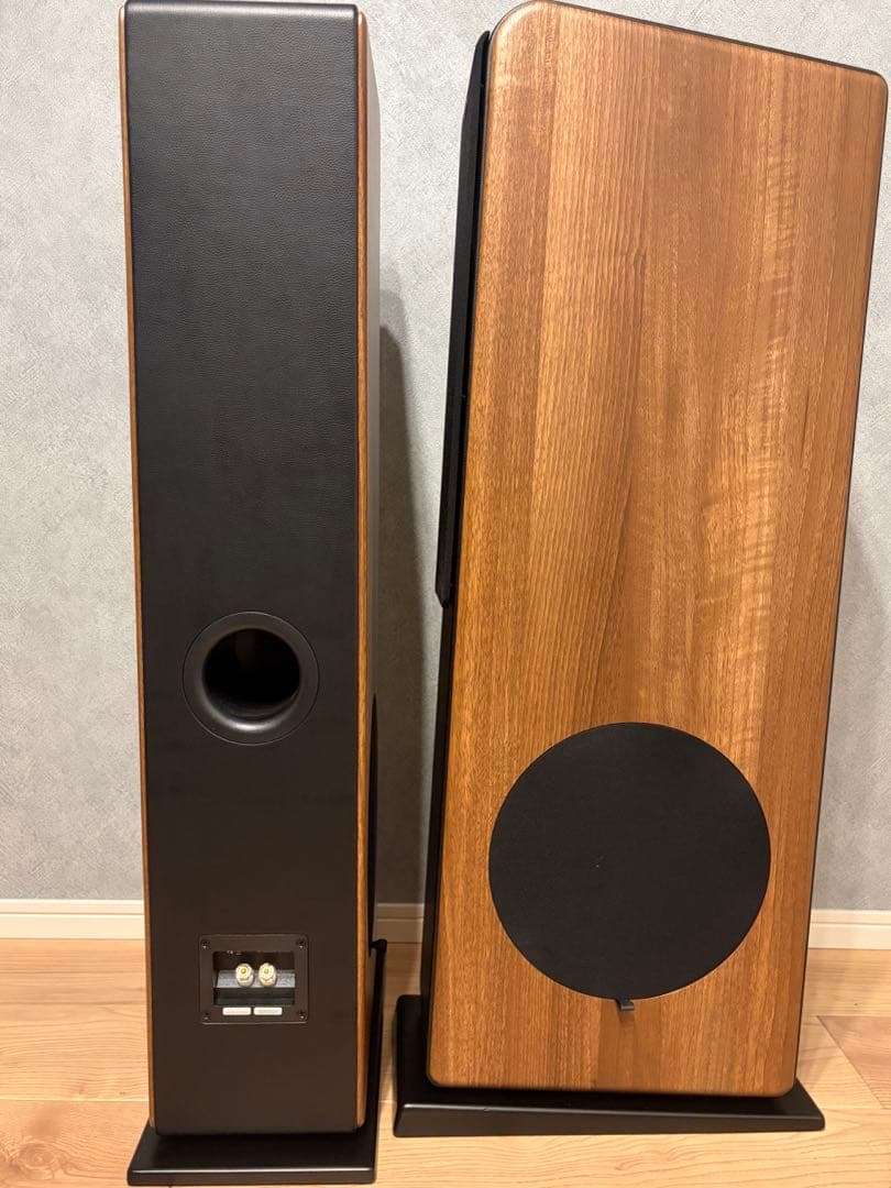 audio pro AVANTO FS-20/オーディオプロ　トールボーイ