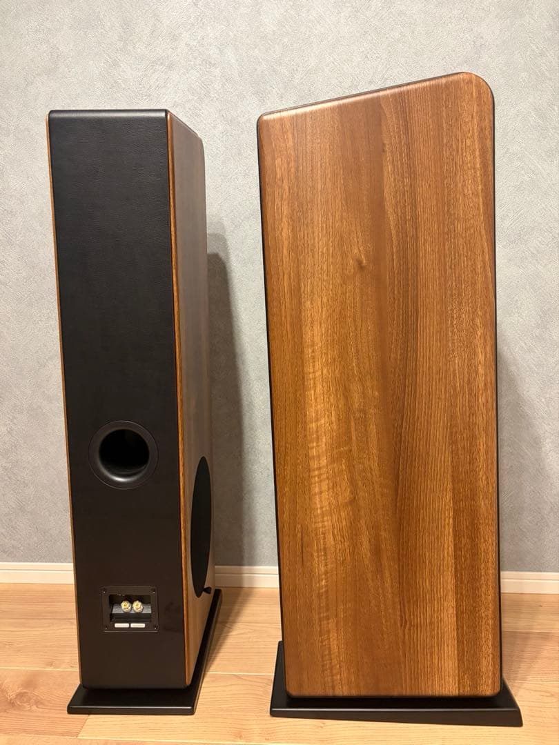 audio pro AVANTO FS-20/オーディオプロ　トールボーイ