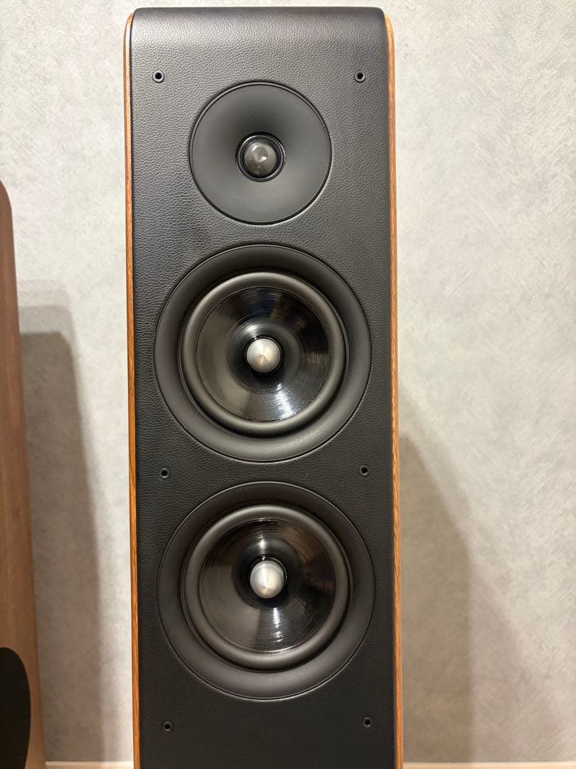 audio pro AVANTO FS-20/オーディオプロ　トールボーイ