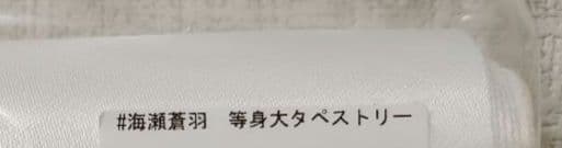 新品未開封 海瀬蒼羽 等身大タペストリー B2タペストリー