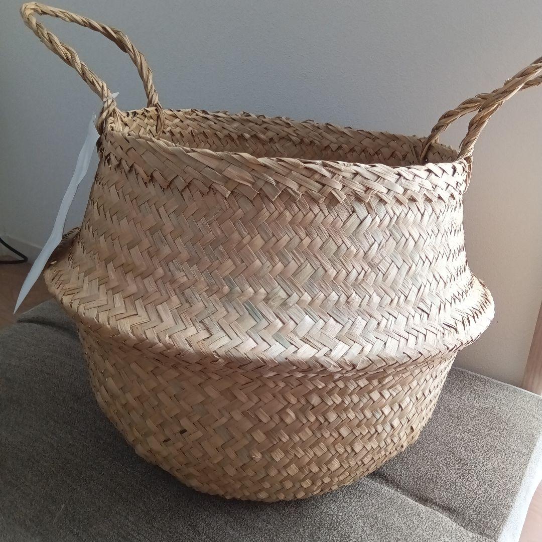 IKEA　フローディス　５個　水草バスケット　25cm