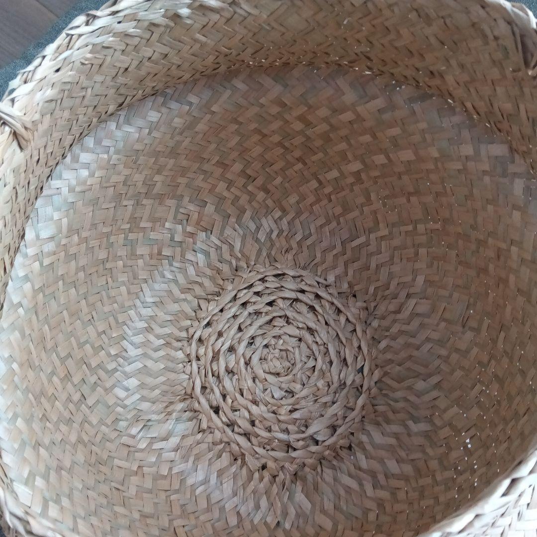 IKEA　フローディス　５個　水草バスケット　25cm