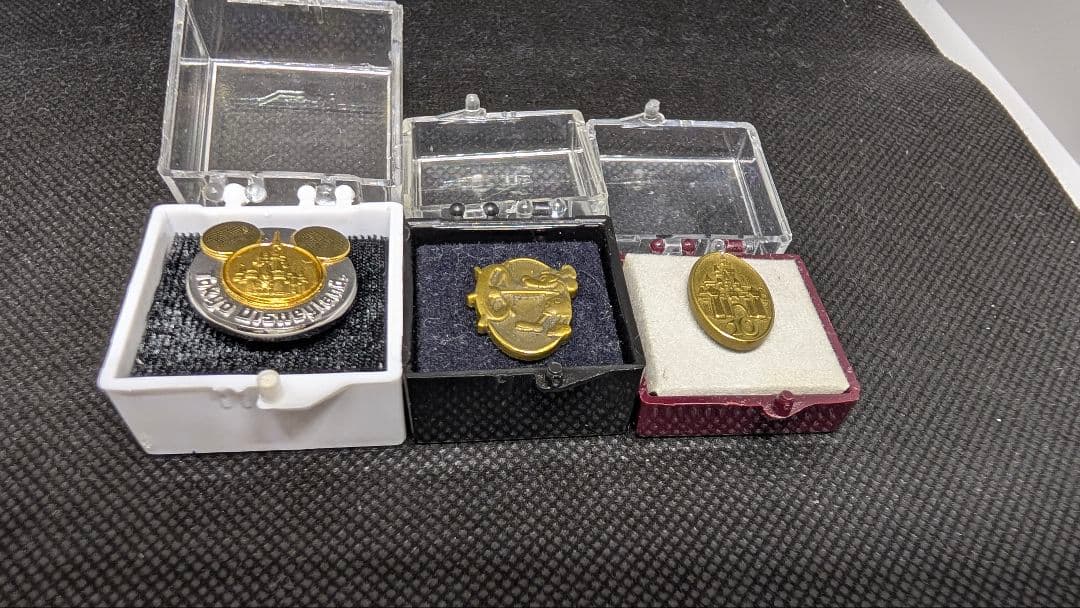 現品限り TDL 関係者 キャッスル・勤続1年10年 キャストピンバッジ セット