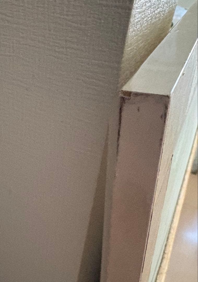 Jane Wooster Scott 大型109cm 額装