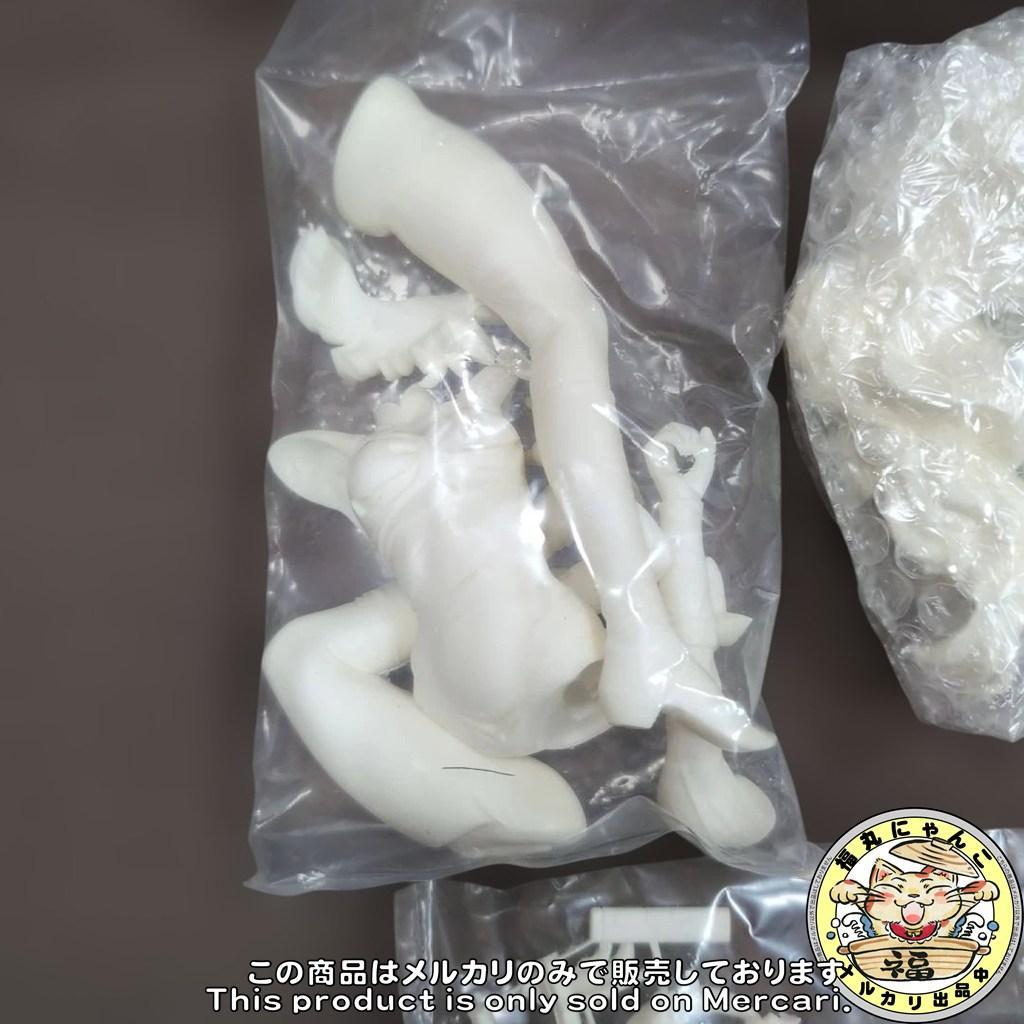 希少 1/7 戦え!!イクサー1 田中冬志 ランペイジ ガレージキット 未組立