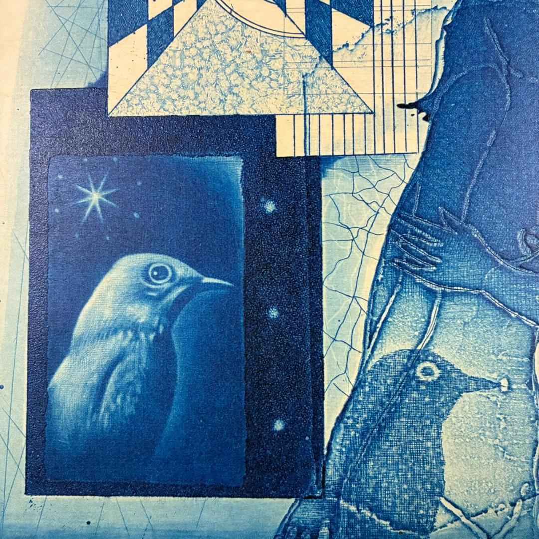 美品 深沢幸雄「女性と鳥」銅版画 彩色 1975年作 直筆サイン入り 額縁入り