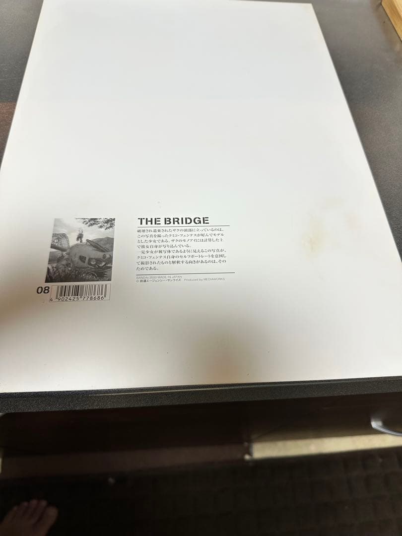 ガンダムMS ERA 0099 プラスチックフォトプリント ザブリッジ