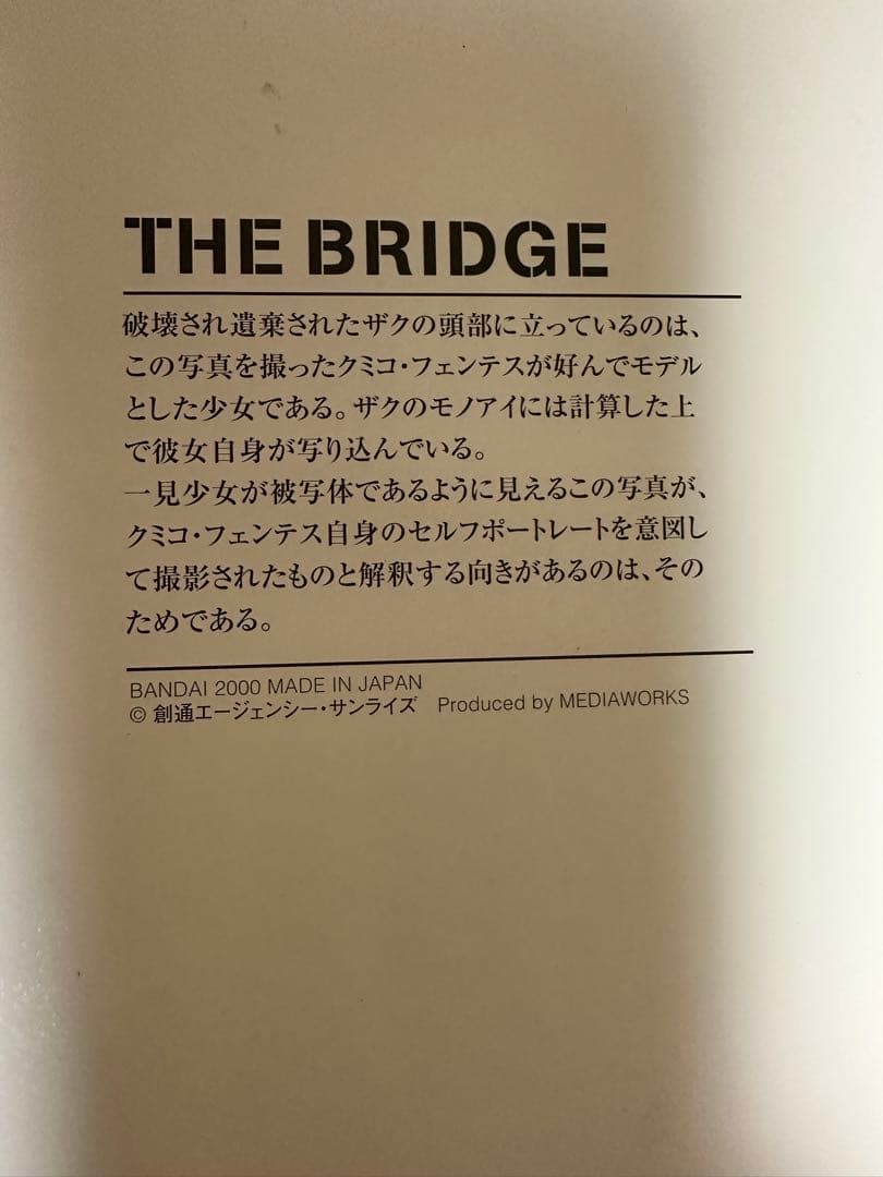 ガンダムMS ERA 0099 プラスチックフォトプリント ザブリッジ
