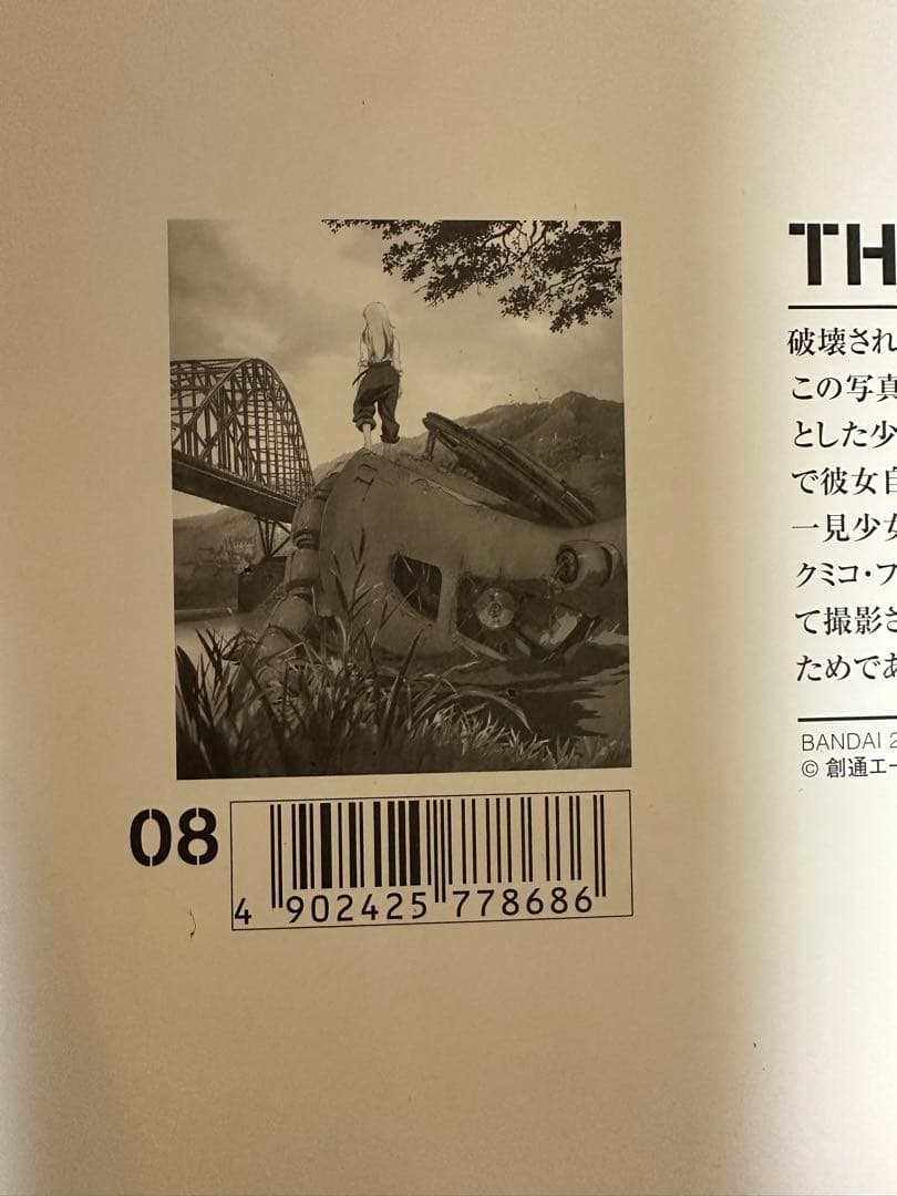 ガンダムMS ERA 0099 プラスチックフォトプリント ザブリッジ