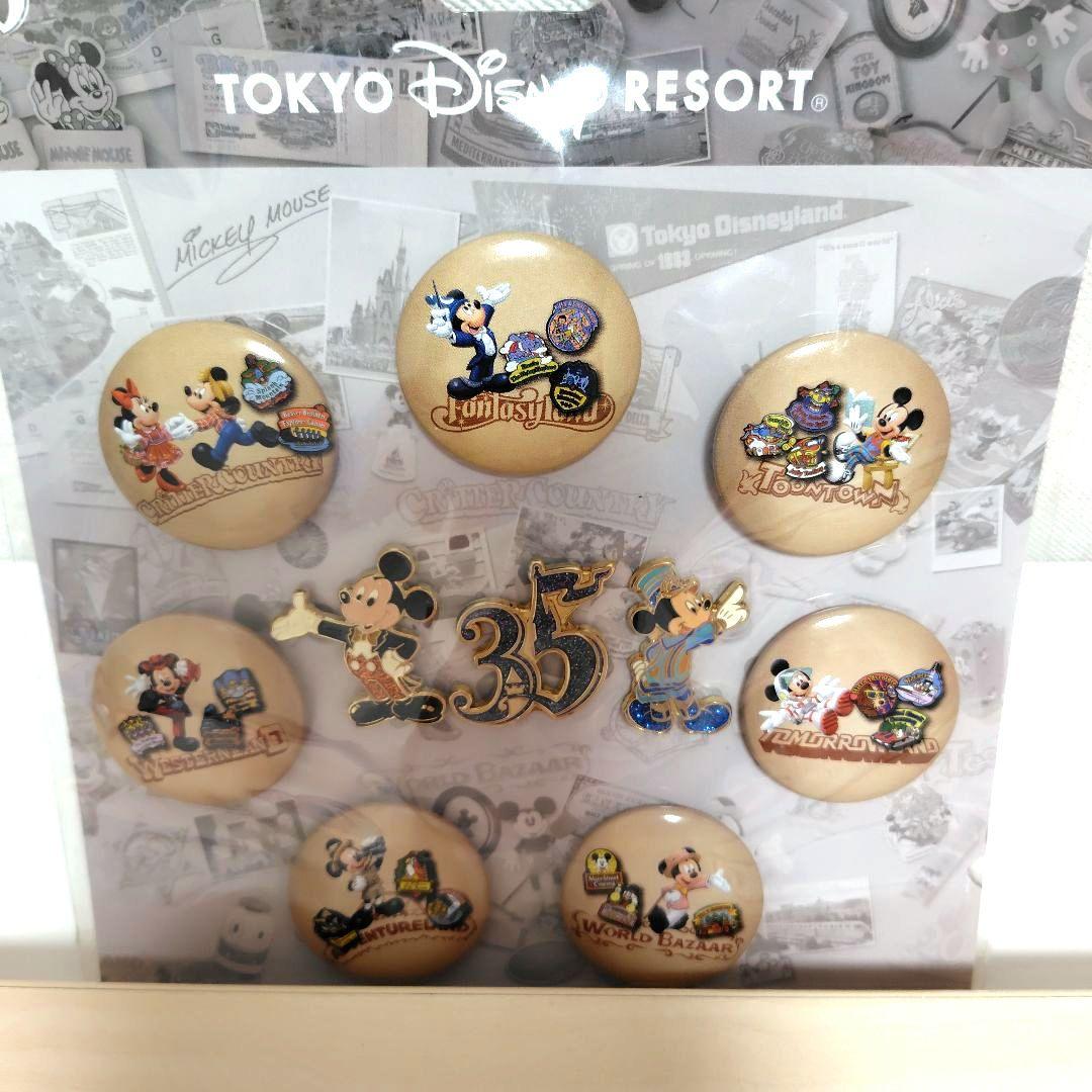 ディズニーリゾート 25周年缶バッチピンバッジ＆25周年ストラップ＆使用済チケ
