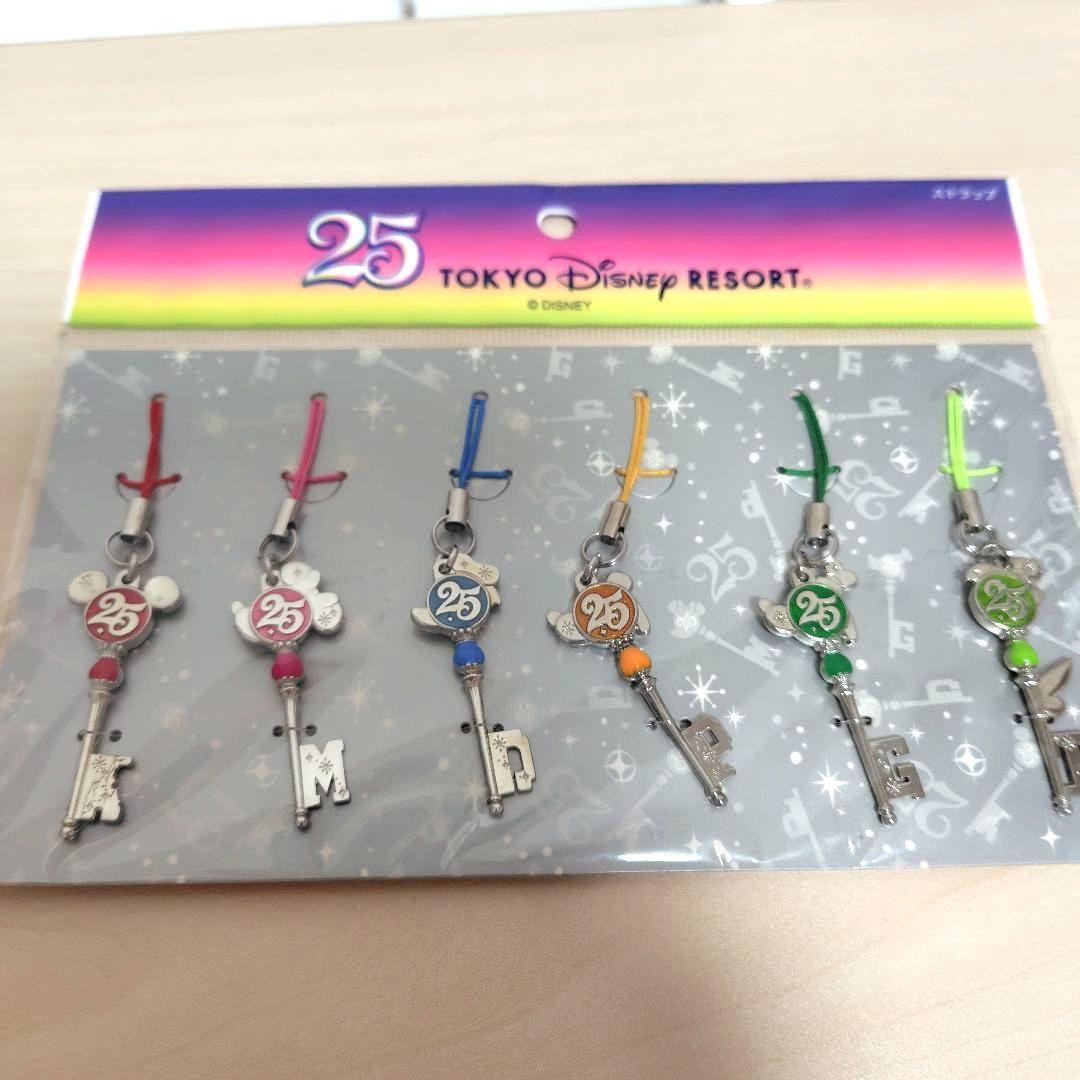 ディズニーリゾート 25周年缶バッチピンバッジ＆25周年ストラップ＆使用済チケ
