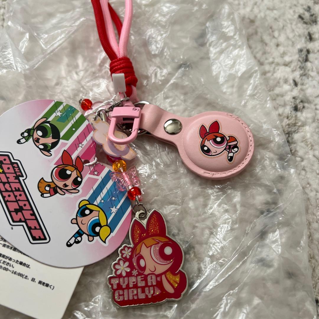 SKINNYDIP パワーパフガールズ　ブロッサム　イヤホンケース　ポーチ