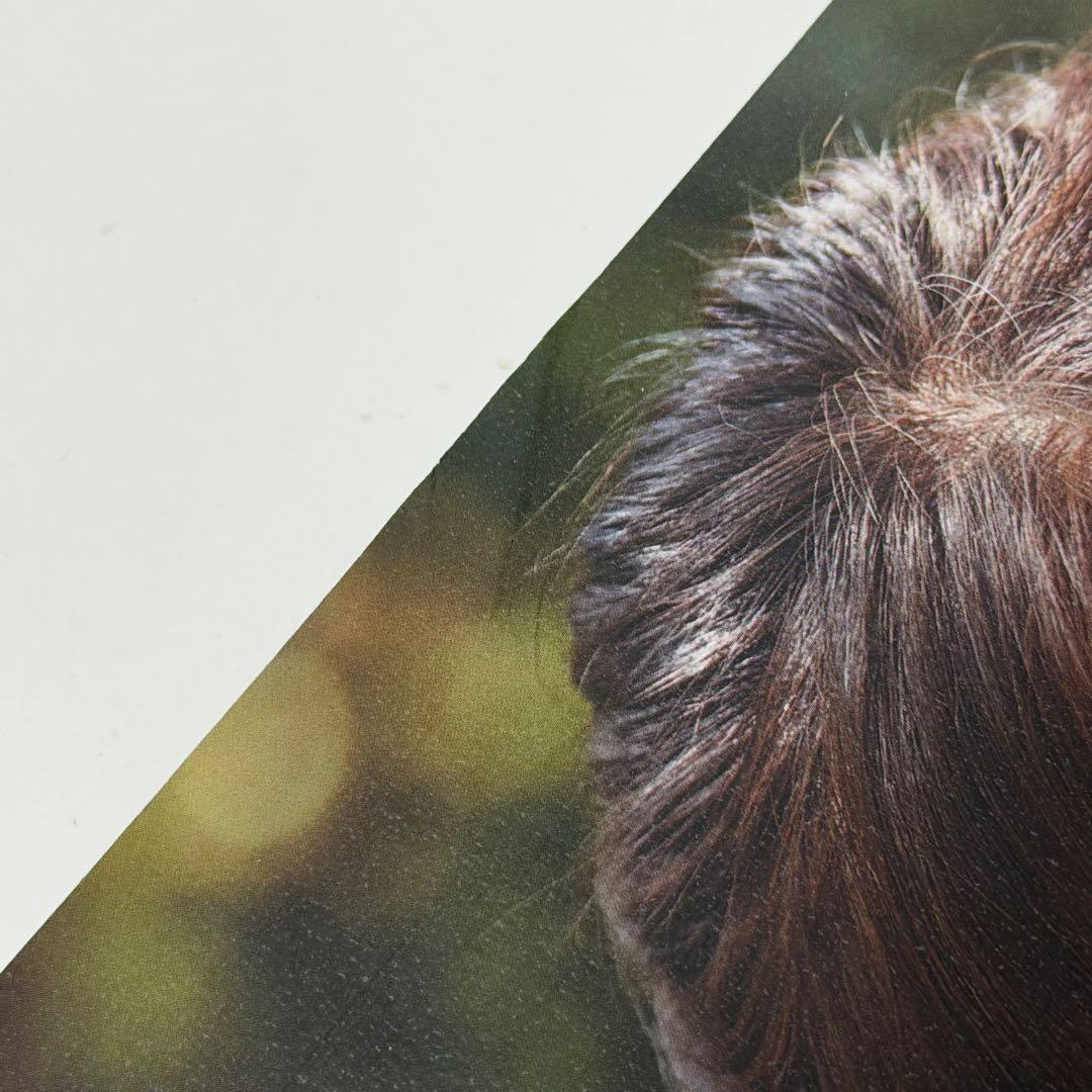 IZ*ONE 写真集 チェヨン LOOK AT MY iZ Dicon