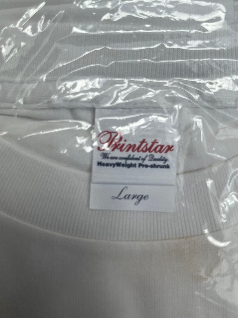 デッドストックthe pillowsＴシャツ ピロウズ