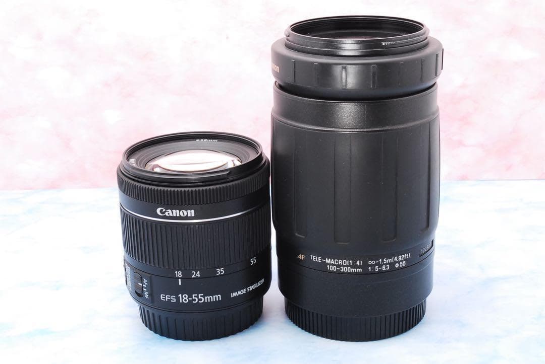 STM＆超望遠★Canon EOS 9000D★一眼レフカメラ★Wi-Fi搭載