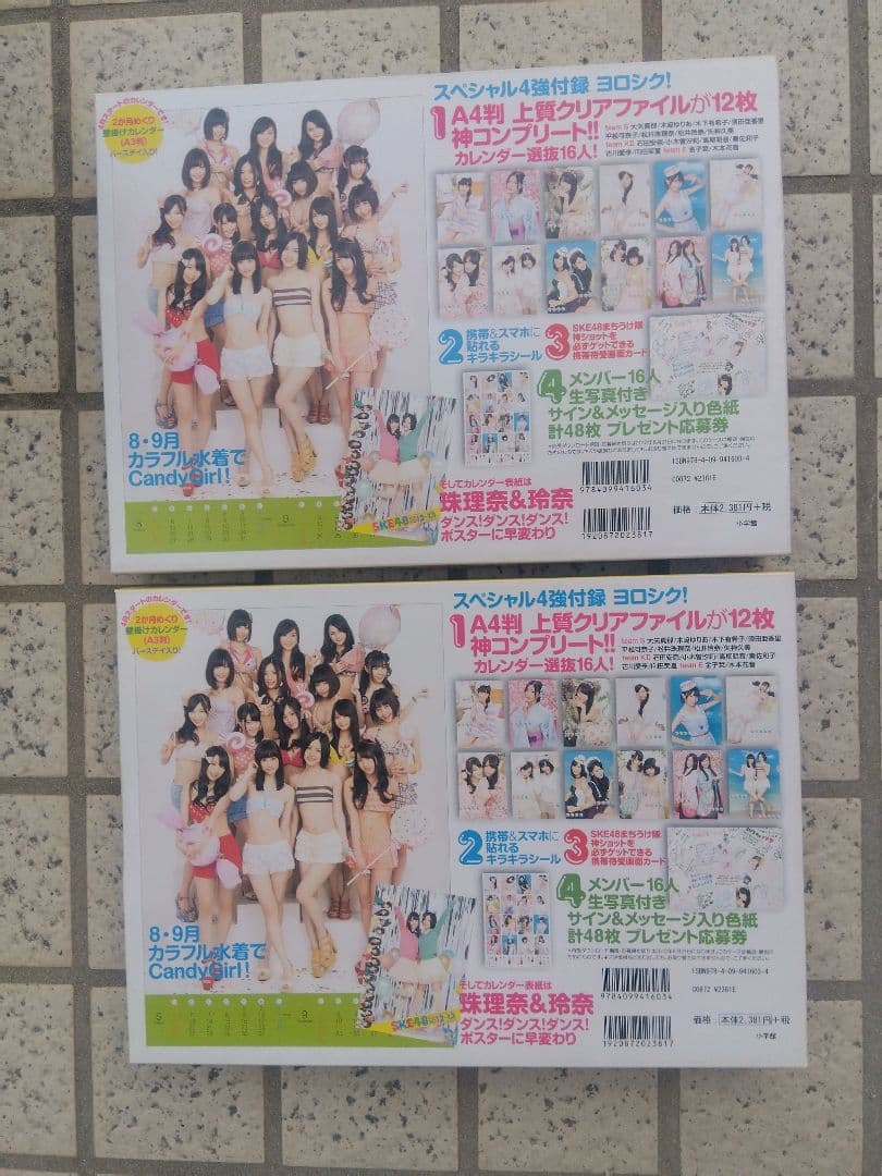 ⭕️未使用品⭕️ SKE48 2012-2013年カレンダー ❇️2セット❇️
