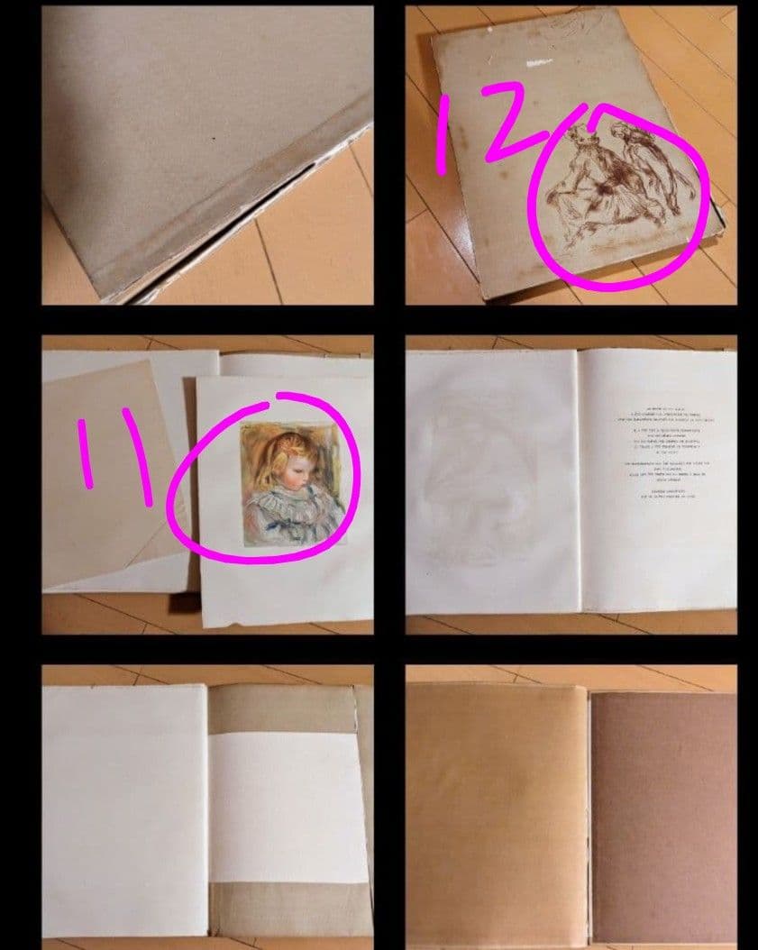 RENOIR ルノワール『創作と技法』挿絵本 リトグラフ