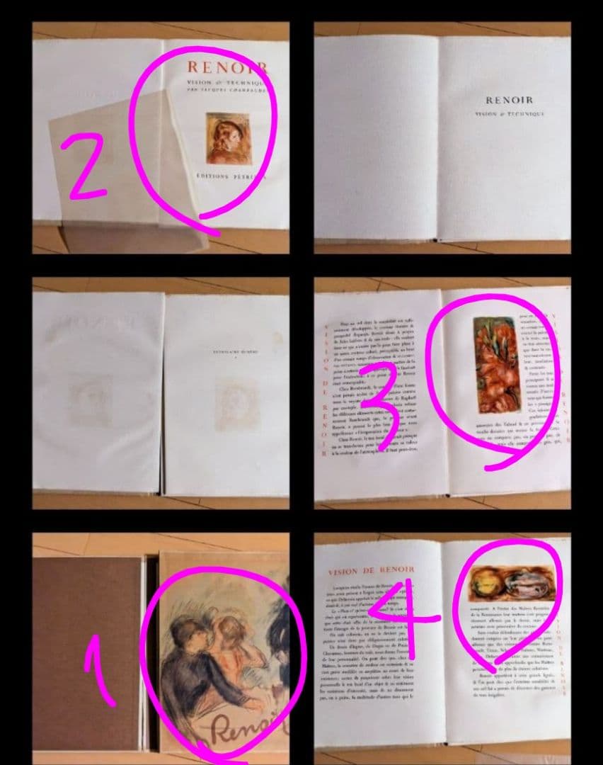 RENOIR ルノワール『創作と技法』挿絵本 リトグラフ