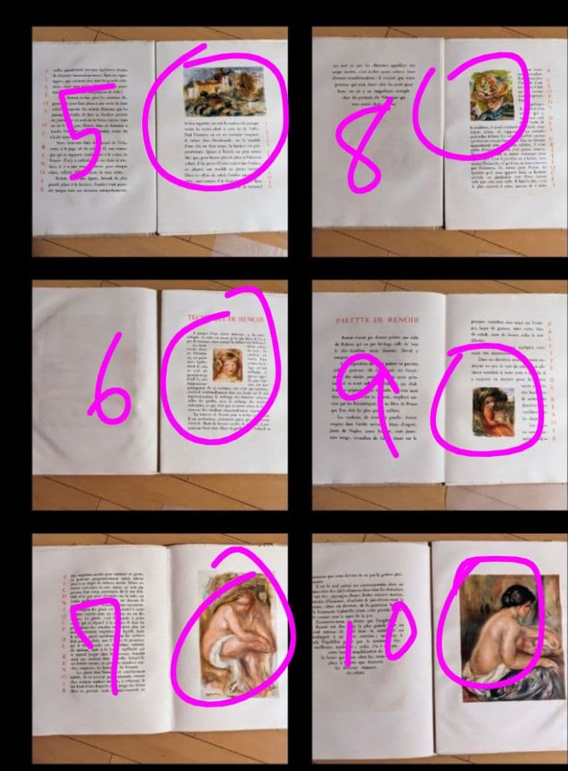 RENOIR ルノワール『創作と技法』挿絵本 リトグラフ