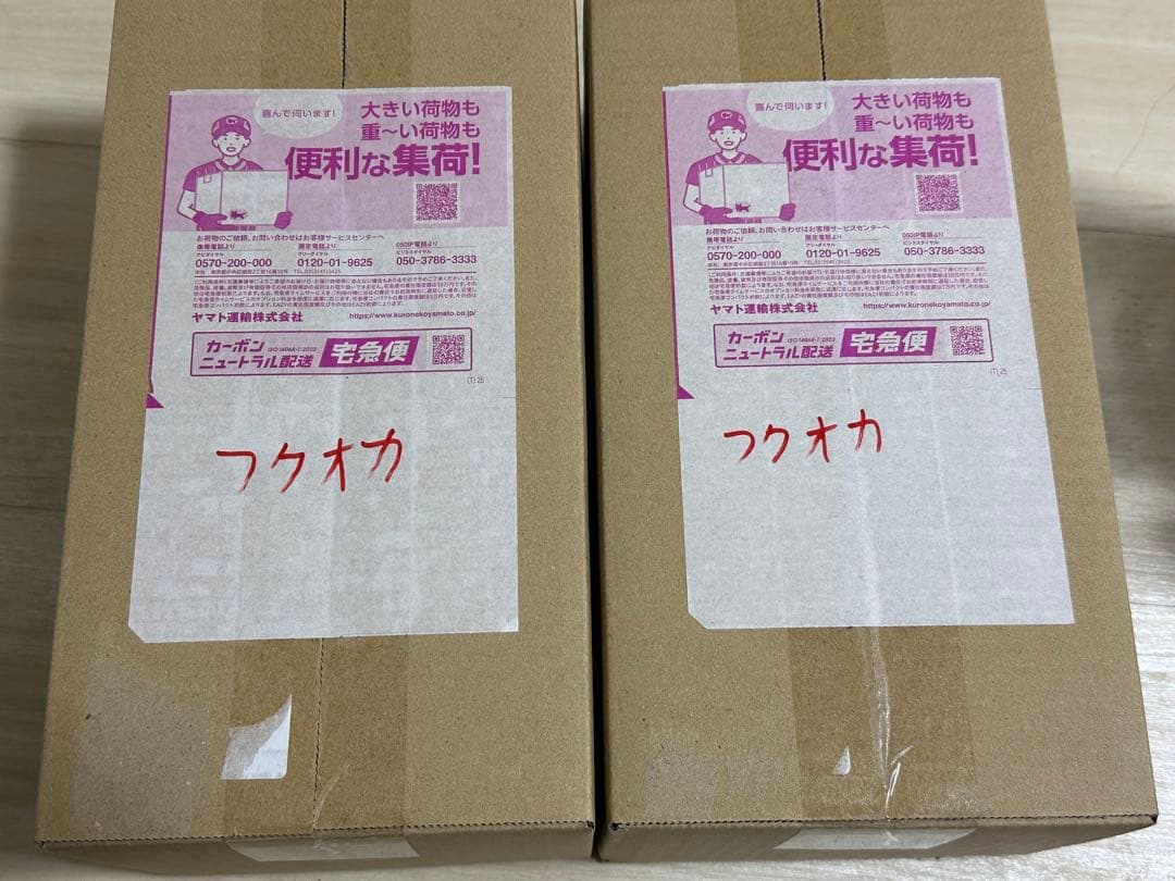 ポケモンセンター フクオカ スペシャルBOX 2個セット