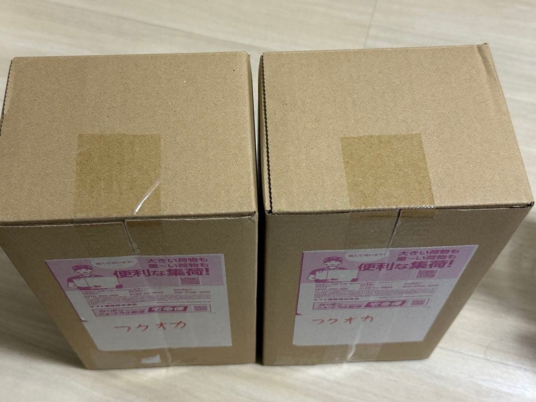 ポケモンセンター フクオカ スペシャルBOX 2個セット