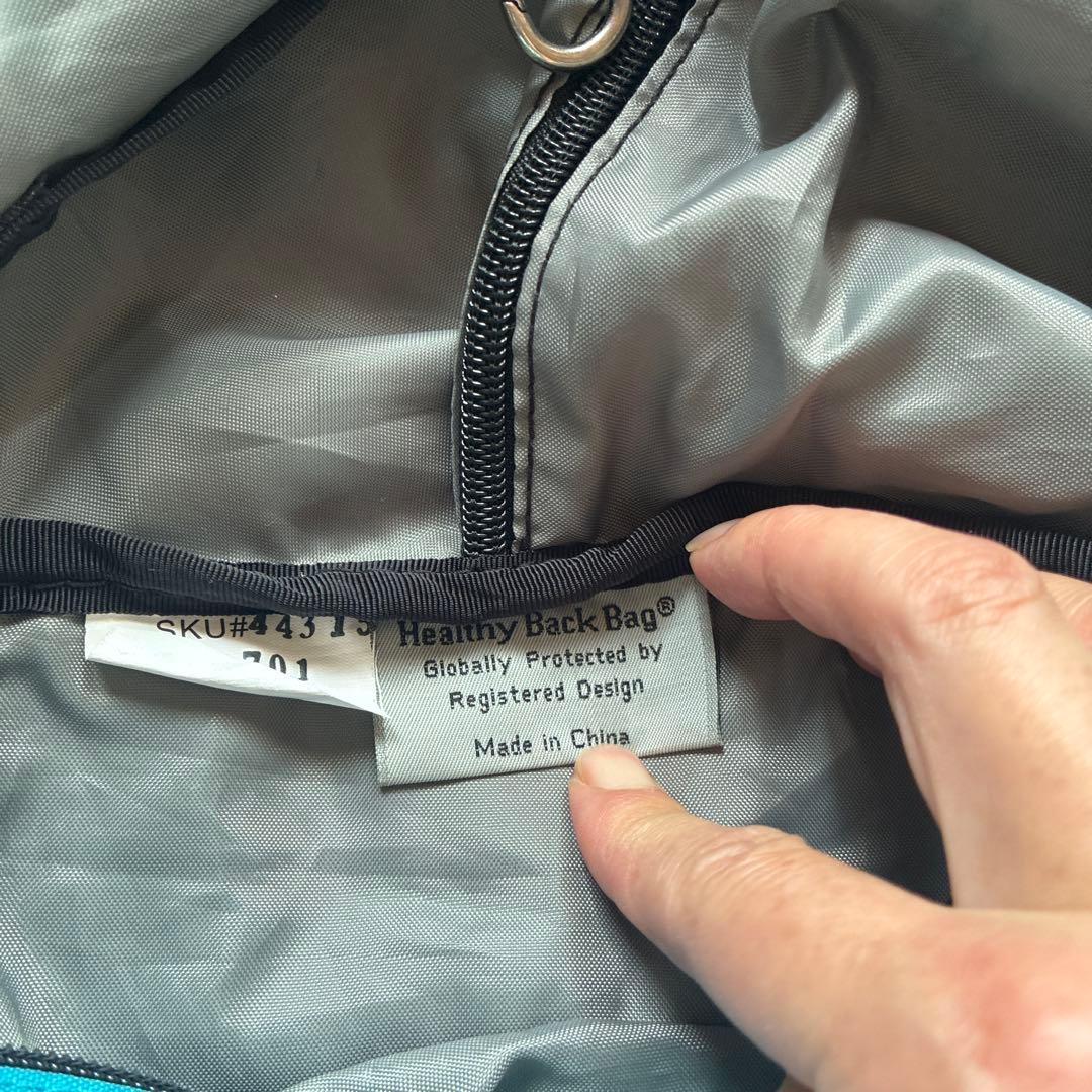 ヘルシーバッグ　ビッグバッグ