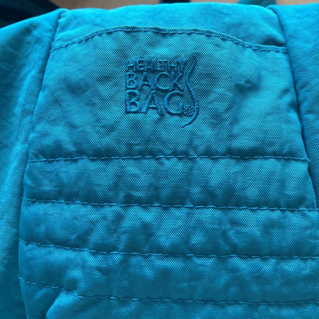 ヘルシーバッグ　ビッグバッグ