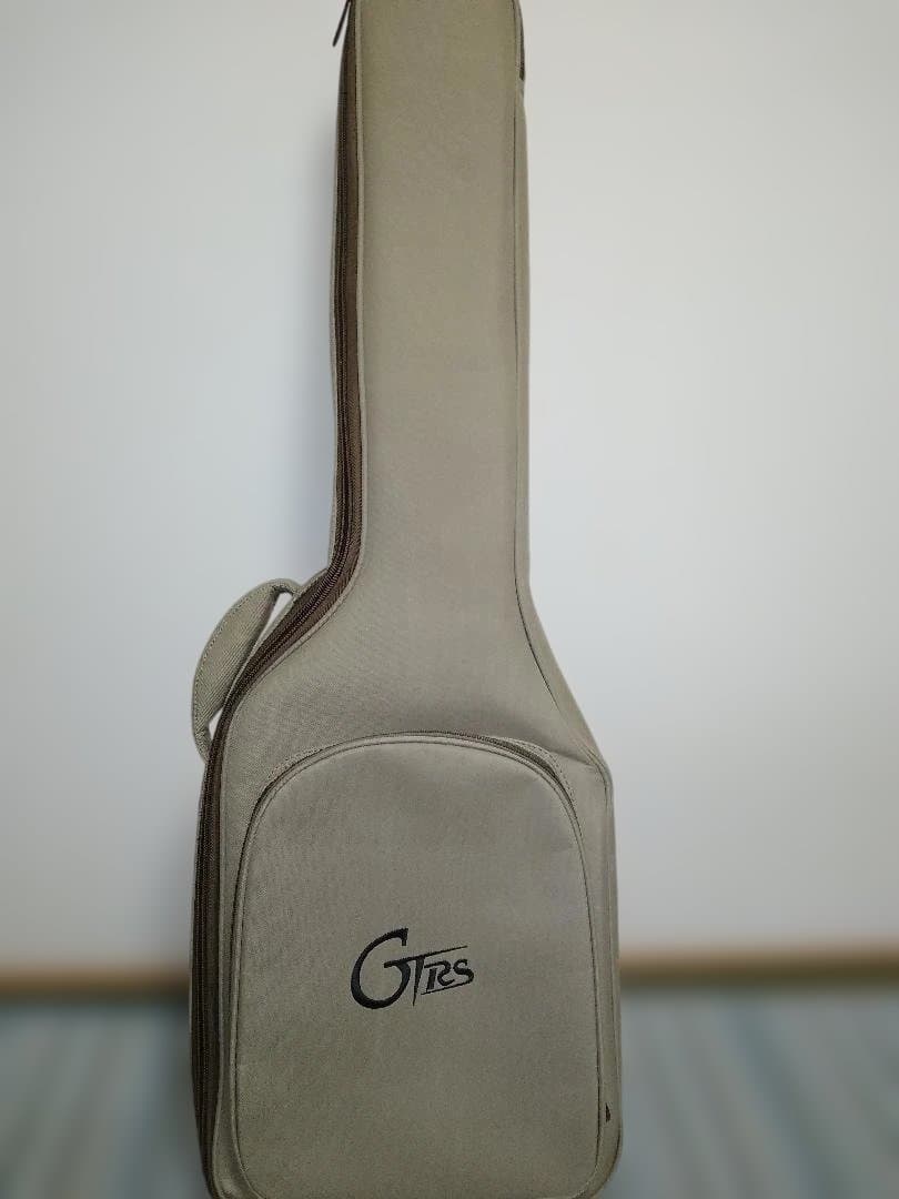 セール!! お得です Mooer GTRS P801 Dark Night