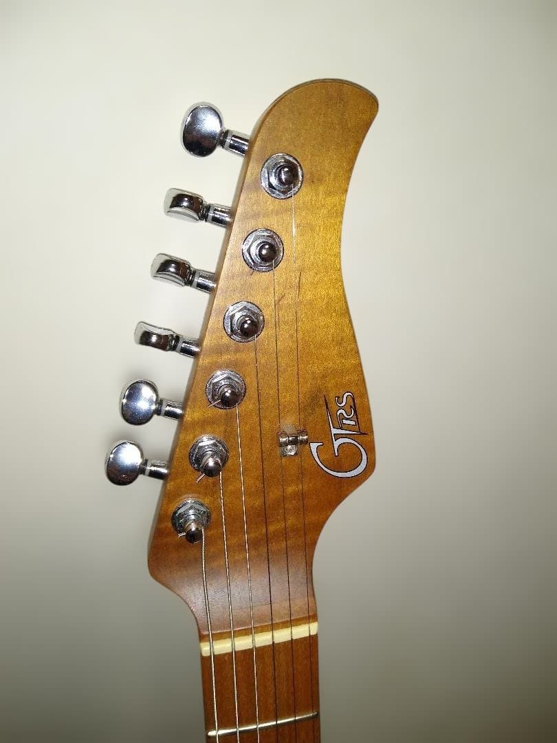 セール!! お得です Mooer GTRS P801 Dark Night