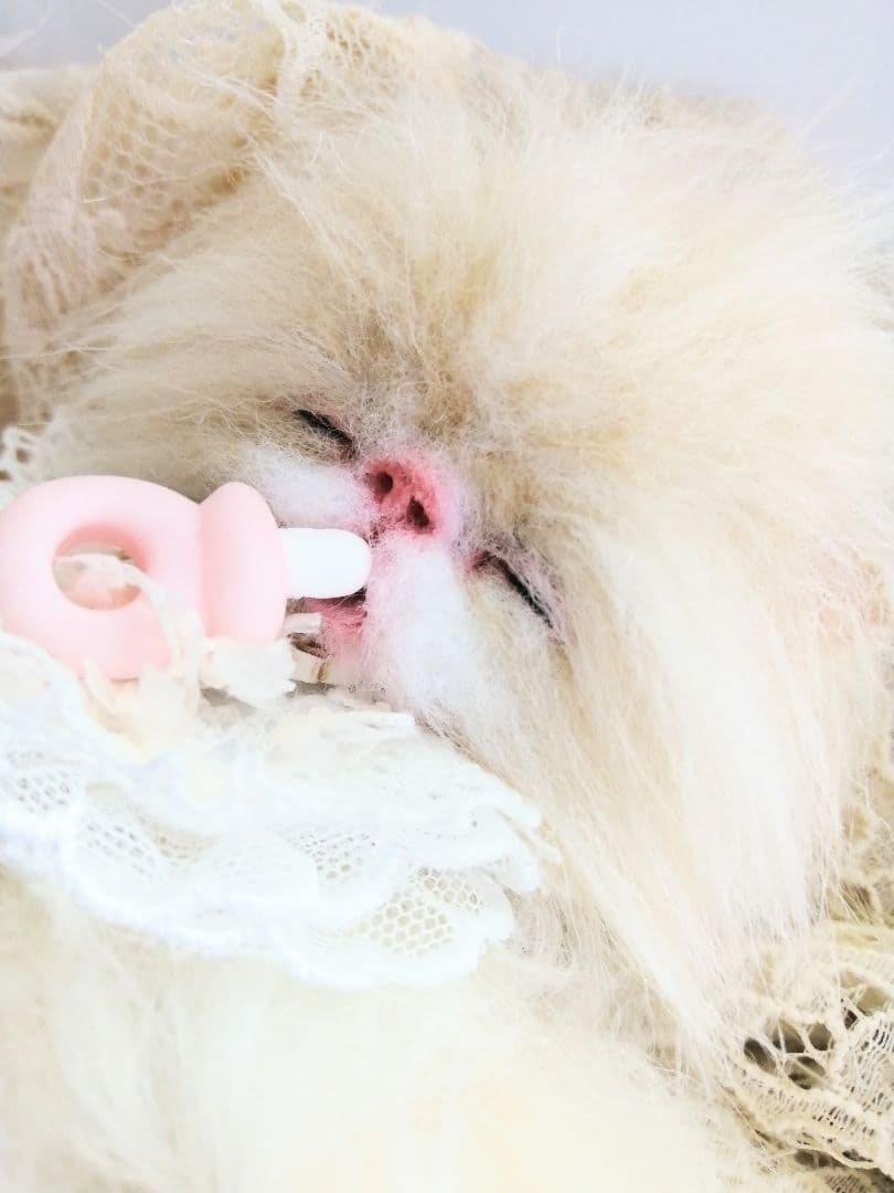 おしゃぶり♡おねむ子猫ちゃん♡ベビー♡アートドール♡ぬいぐるみ♡スタイ♡