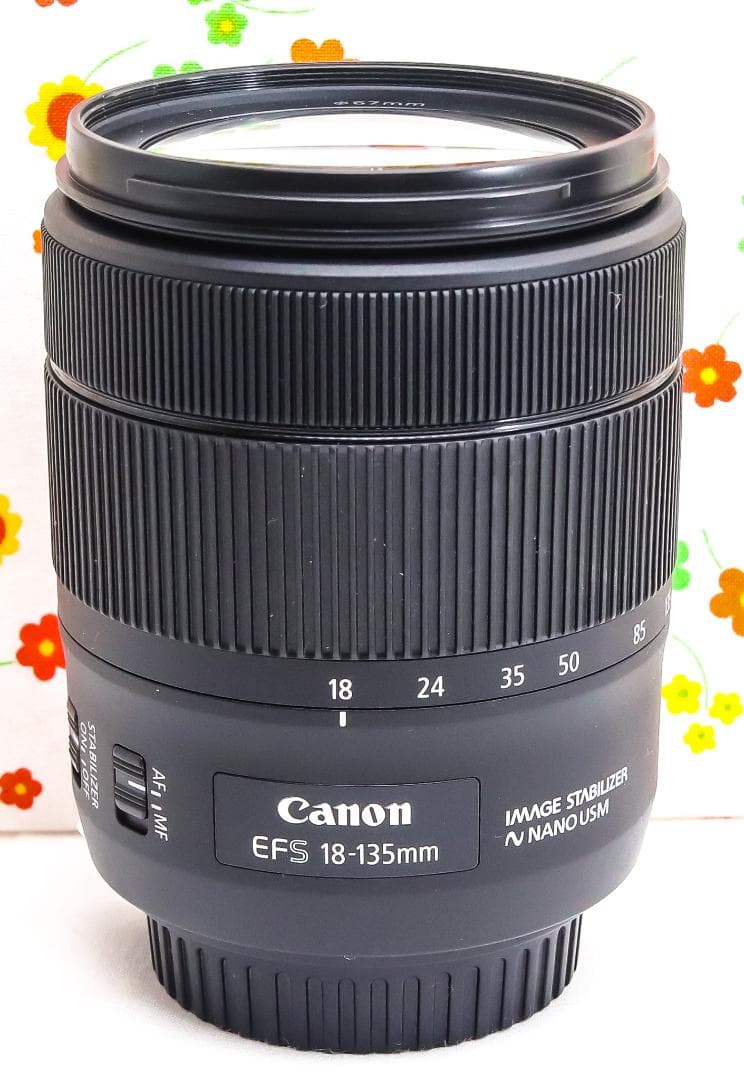 超美品 Canon EF-S 18-135mm USM☆高性能・高倍率レンズ