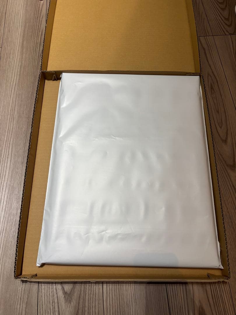 エヴァ Canvas Art(RADIO EVA)キャンバスアート アスカ 1