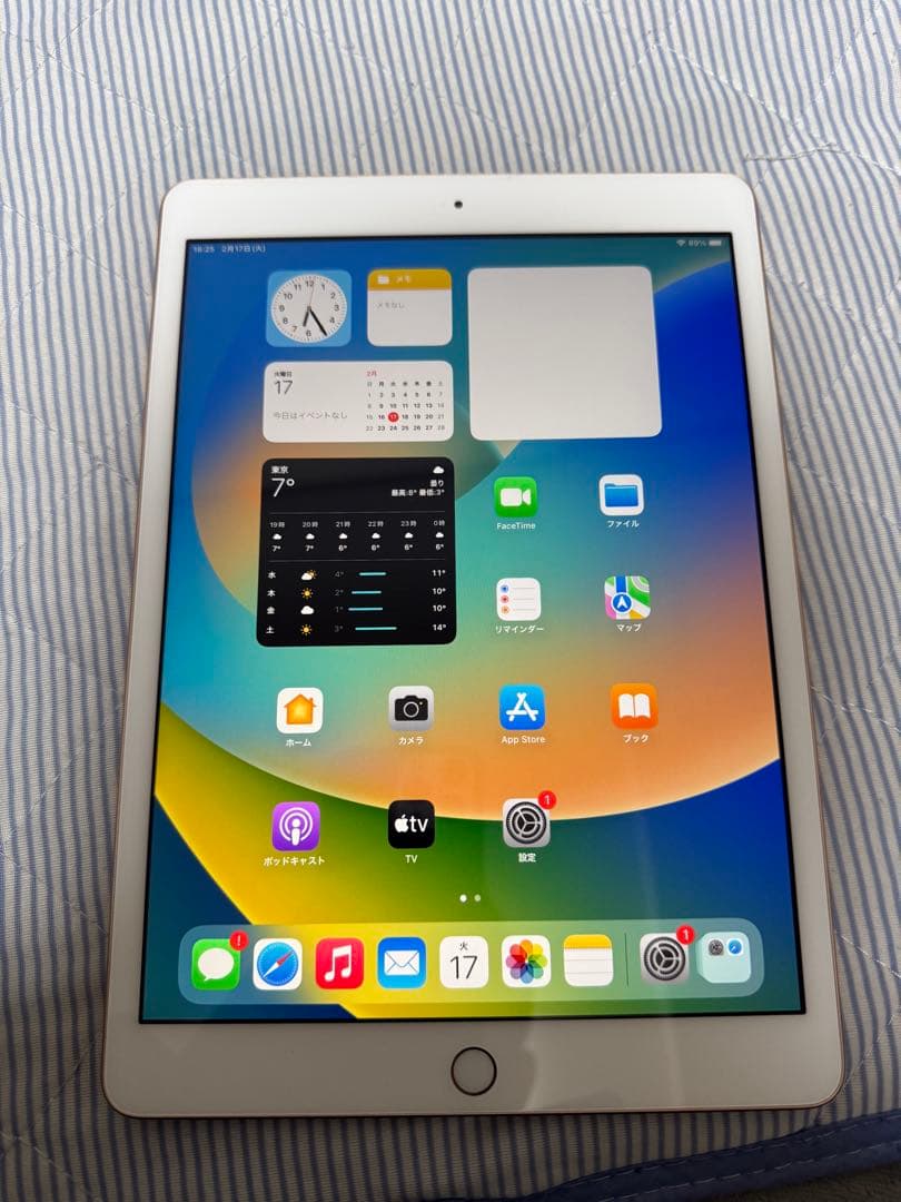 iPad 第7世代 128GB Wi-Fi A2197 95%