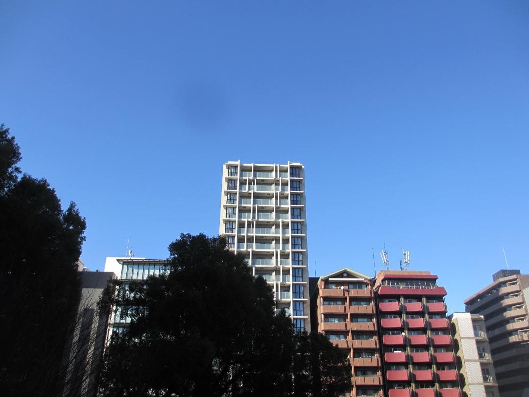 【スマホ転送OK】キャノン Canon IXY 600F パープル