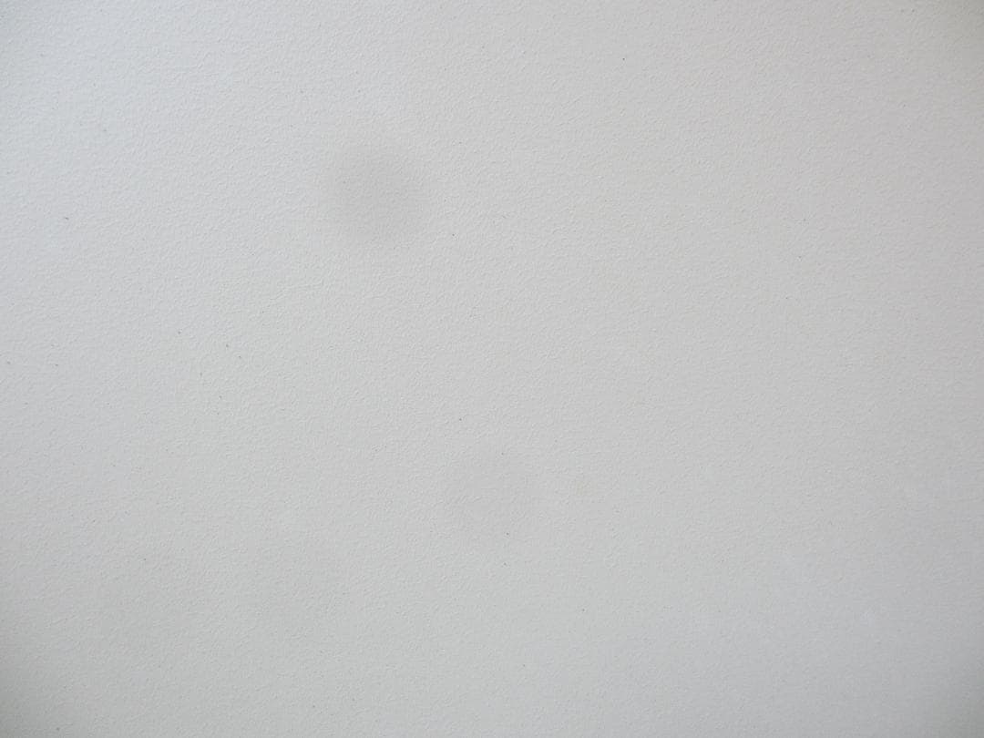 【スマホ転送OK】キャノン Canon IXY 600F パープル