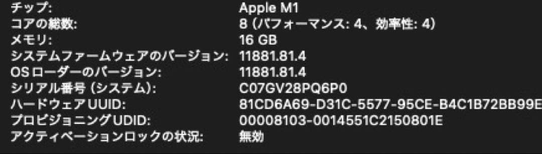 美品　M1 Mac mini 16GB 2TB