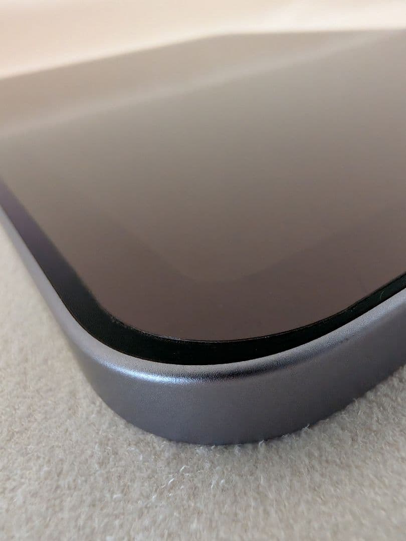 【PC検査済】iPad mini 6 (256GB) Wi-Fi＋Pencil