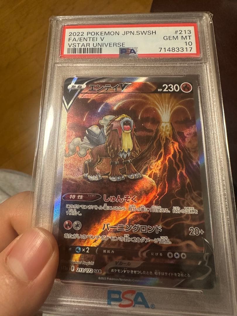 エンテイV VSTARユニバース #213 GEM MT 10