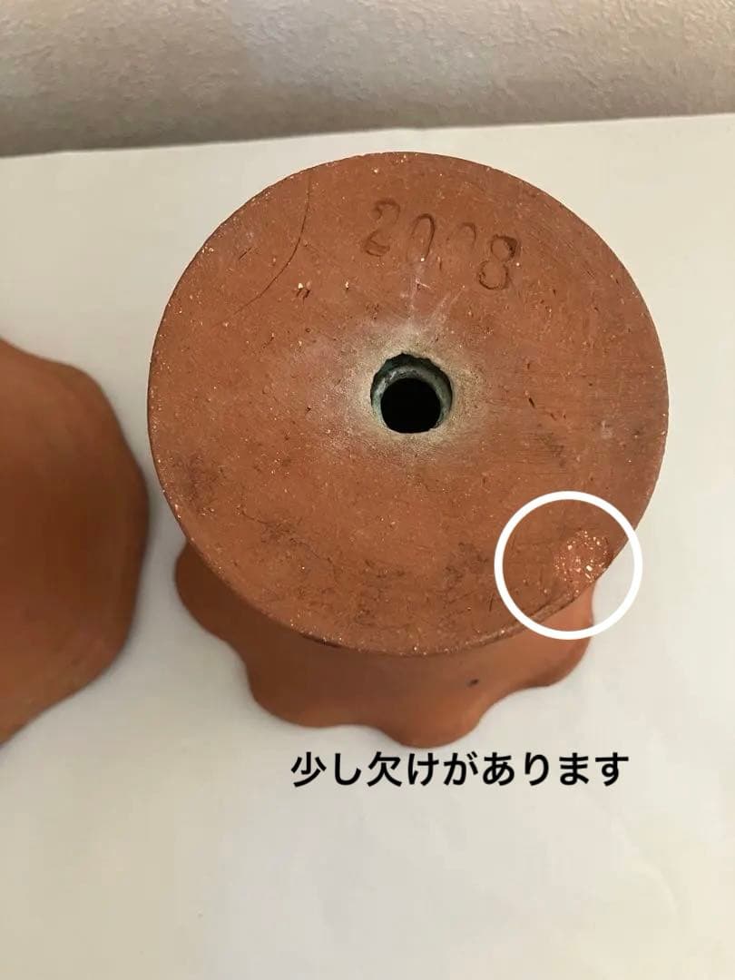 ワンダーデコール　テラコッタ鉢　プランター　2点セット