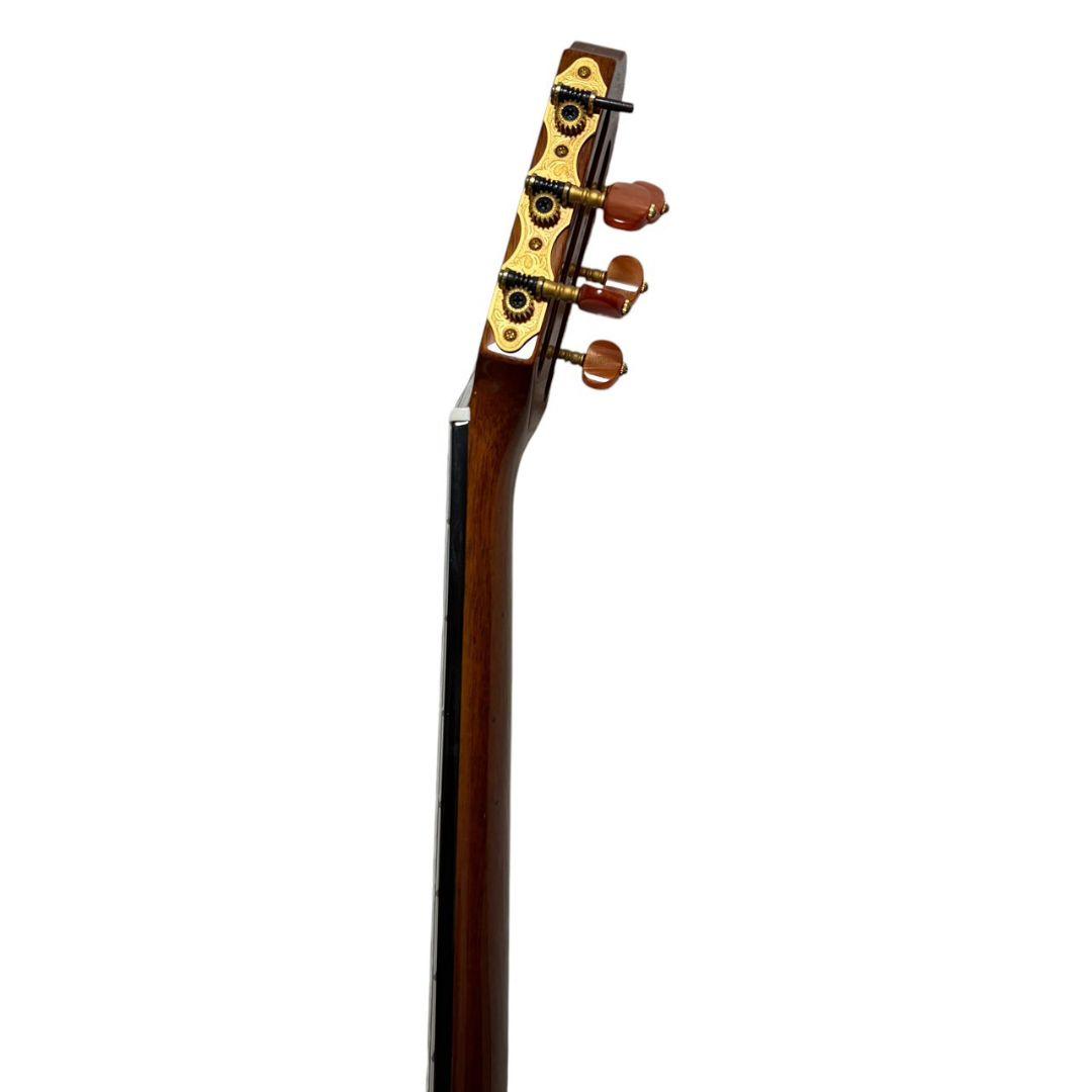 【動作確認済み】YAMAHA SLG-120NW サイレントギター ケース付